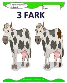 İki Resim Arasındaki Farkı Bul Etkinliği